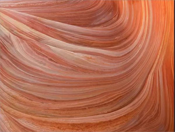 USA - Detail of the rock wall at The Wave, a breathtaking work of art, naturally carved in beautiful red and yellow striated soft Navajo sandstone. North Coyote Buttes, Paria Canyon-Vermilion Cliffs Wilderness