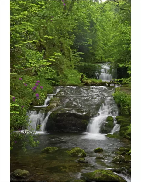 Waterfalls at Watersmeet East Lyn River, Exmoor National Park, Devon UK LA000408
