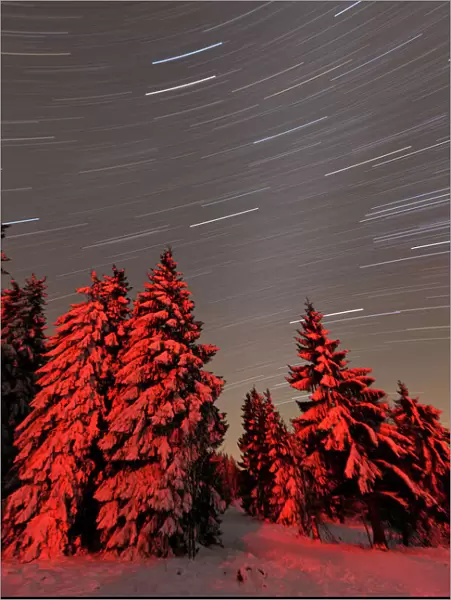 Star trails - in winter sky - Hoher Meissner National park - North Hessen - Germany