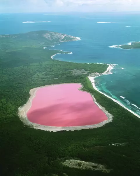 Western Australia  /  Lake Hillier - Archipelago of the Recherche Middle Island. Reason for colour remains a mystery - Pink colour is not due to prescence of algae such as Dunaliella salina, unlike other salt lakes on mainland Australia
