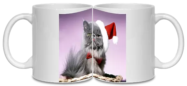 Persian Cat - Santa look in basket in Christmas hat and tie