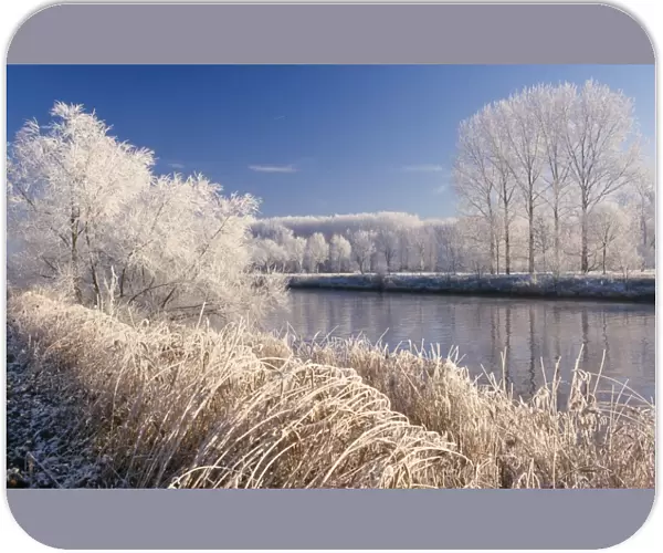 Hoar-frost - on river landscape