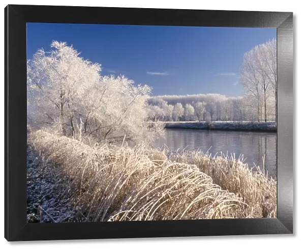 Hoar-frost - on river landscape