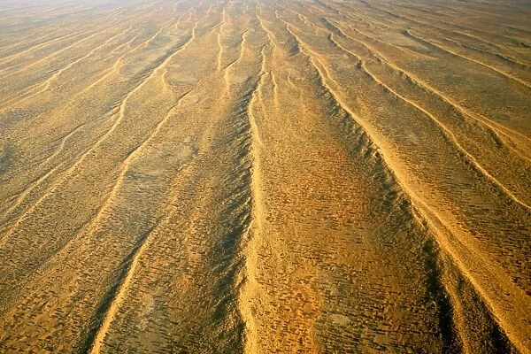 Aerial of dunefields, sand dunes and claypans in interdune corridors, southeastern Simpson Desert, South Australia JPF42955