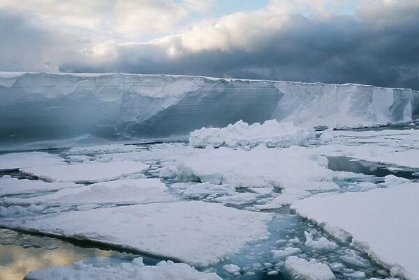 Antarctic Ice flows breaking off Ice Shelf