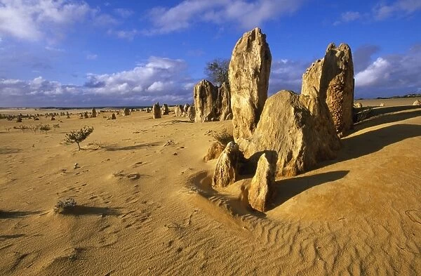 Australia The Pinnacles desert, Nambung National Park, Western Australia