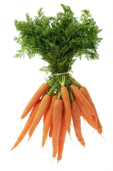 Carrots. LA-1077. Carrots - tied in bunch, showing leaf tops