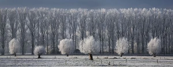 Countryside landscape in winter - Belgium