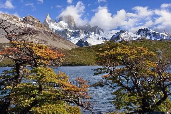 Fitz Roy Massif - mountain scenery including Cerro Fitz Roy and Laguna Capri in autumn - Los Glaciares National Park - Patagonia - Argentina - South America