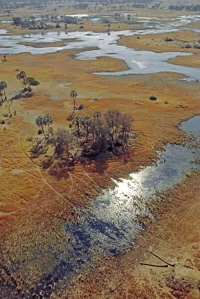 Floodplains Aerial view Okavango Delta, Botswana, Africa