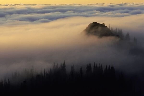 Fog - in Olympic Mountains Olympic National Park, Washington, USA. S2670