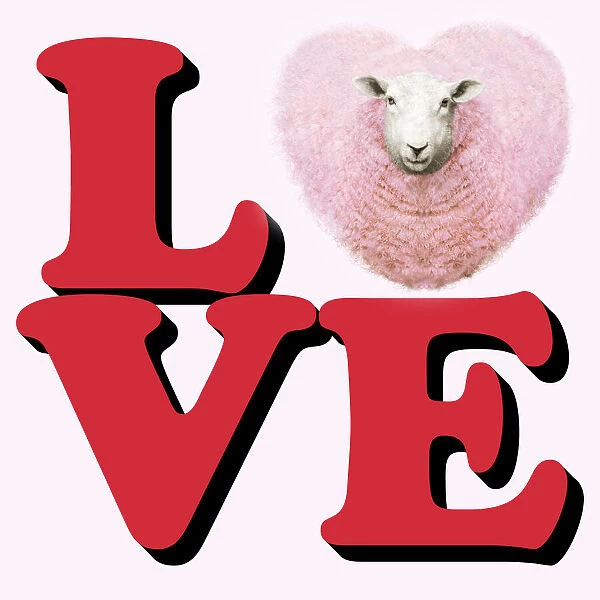Heart shaped ewe as the letter O the word Love