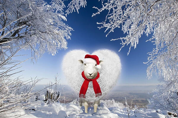 Heart shaped sheep wearing Christmas hat under snow covered trees