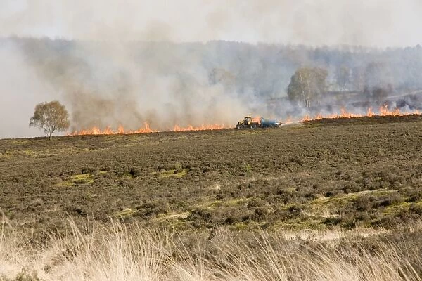 Heath fire with water sprayer - Cannock Chase AONB - Staffordshire UK