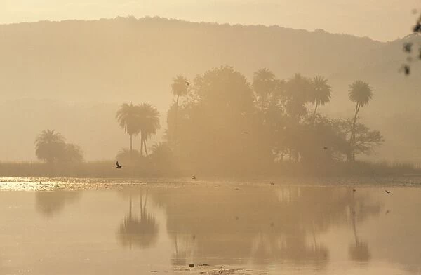 India - Rajbagh CB 7 Main lake in Ranthambhore National Park Rajasthan, India © Chris Brunskill  /  ARDEA LONDON