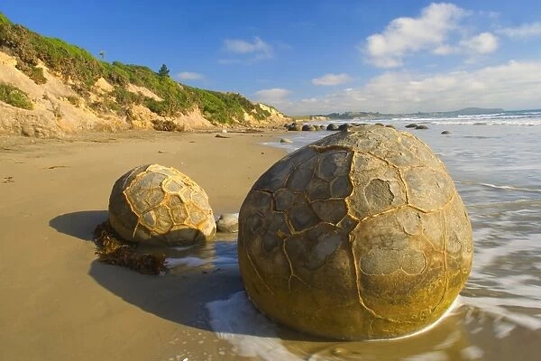 Moeraki Boulders massive spherical rocks which look like dinosaur eggs at the beach Coastal Otago, South Island, New Zealand