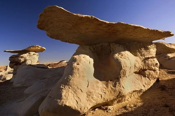 Mushroom Hoodoos - eroded clay sculptures with rocks balanced on their tops located amidst badlands - Bisti Badlands Wilderness Area - New Mexico - USA