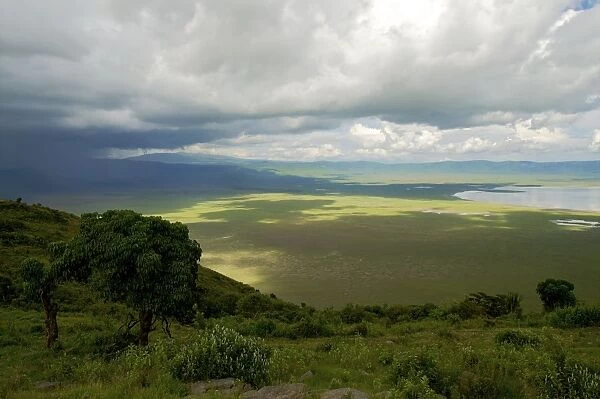 Ngorongoro Crater - view from the rim - Tanzania - Africa