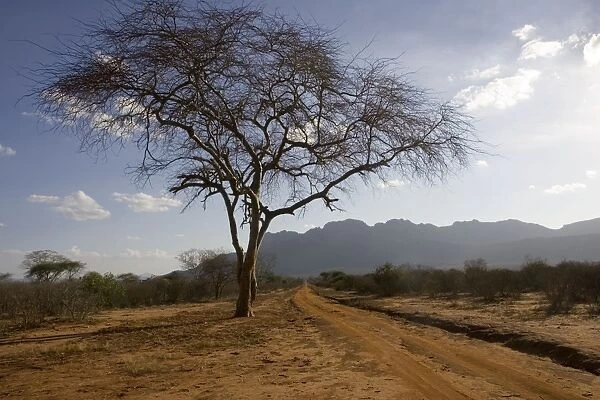 Ngulia escarpment in Tsavo West National Park, Kenya, East Africa