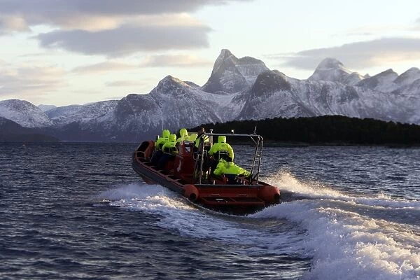 Observation boat looking for Killer Whales (Orcinus orca) - Tysfjord - Lofoten Isles - Norway