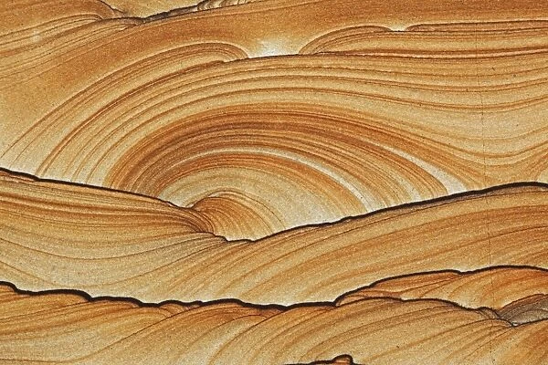 Picture Sandstone Detail - Northern Arizona  /  Utah - Natural sandstone formed 180 years to 220 million years ago by wind and water as part of the geological formation 'Shinarump' - Colors