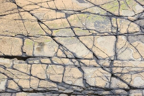 Rock Patterns - Yesnaby Cliffs - Mainland Orkney LA005156