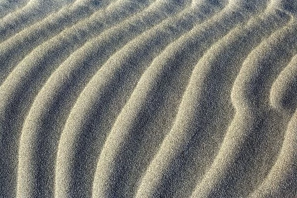 Sand Dune close-up of sand ripples of white sand dunes at Whaririki Beach Golden Bay, Nelson District, South Island, New Zealand