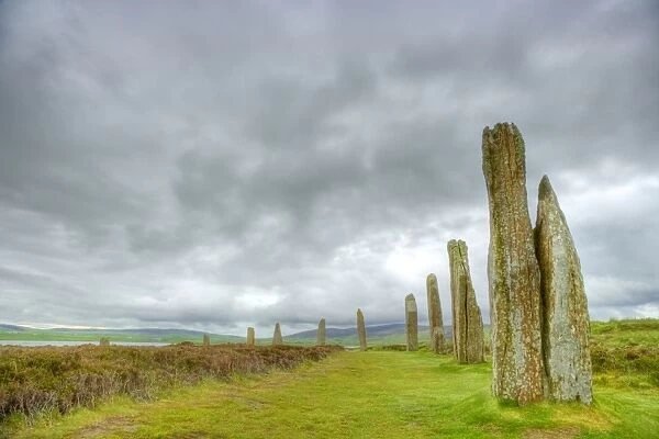 Standing Stones - Ring of Brodgar - Orkney Mainland LA005047