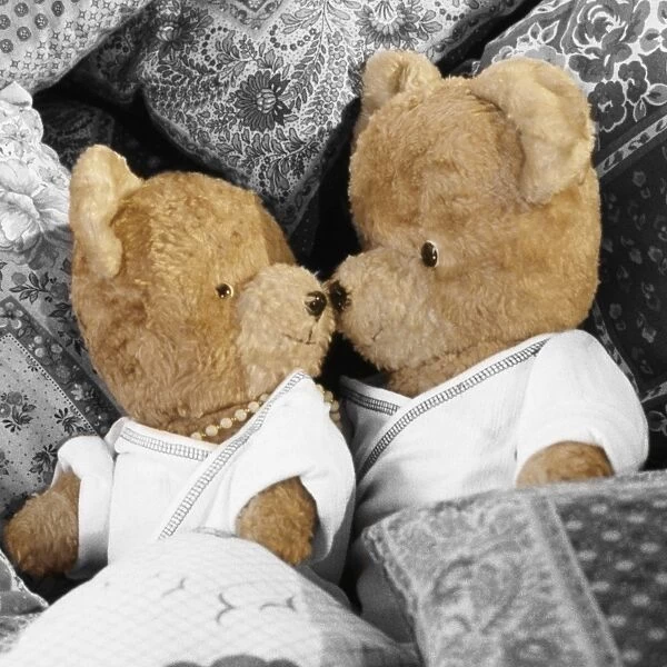 Teddy Bear - x2 teddies in bed Digital Manipulation: cropped - altered colours & removed small bow