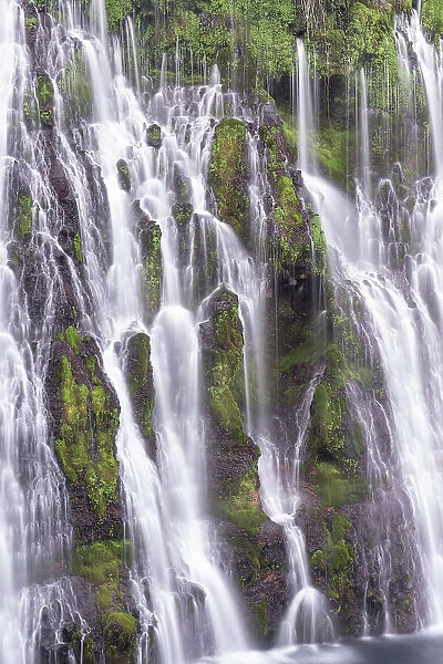 USA, California, McArthur-Burney Falls State Park. Burney Creek waterfall and ferns. Date: 07-04-2021