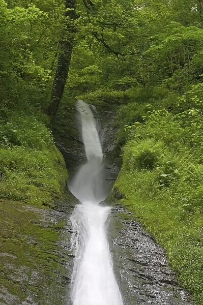 White Lady Falls Lydford Gorge Dartmoor National Park Devon, UK LA000234