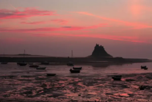Buy Lindisfarne Castle - at dawn over harbour