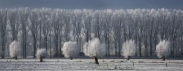 Buy Countryside landscape in winter