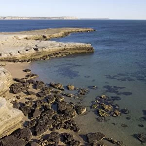 Argentina - Valdes Peninsula, Province Chubut. Low tide in Golfo Nuevo, at Punta Pardela, near Puerto Piramide. Exposed horizontal rock layers are the 20 Million year old marine Patagonia formation