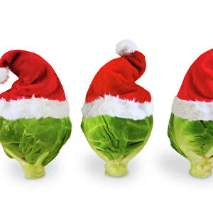 Brussel Sprouts - in Christmas hats Digital Manipulation: SU hats