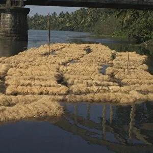 Coconut husk fibre - These bales of fibre are soaking for about 6 weeks before being dried and used in rope making. Photographed near Kochi (Cochin), India, Asia