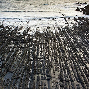 The dramatic heavily-folded sandstone and mudstone rocks of Hartland Quay - north Devon - UK