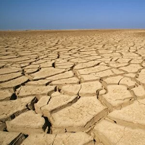 Drought TD 15 Cracked earth in the dry Huab River-mouth. Skeleton Coast Park, Namibia Africa © Thomas Dressler / ARDEA LONDON