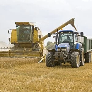 Farming - Combine Harvester and Tractor - Wheat harvest - Norfolk - UK