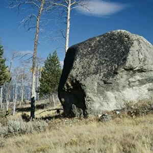 Glacial Erratic A huge boulder moved by ancient glacier, Yellowstone National Park