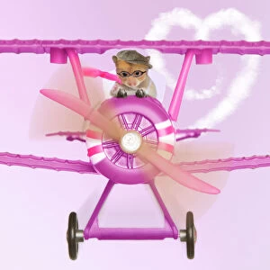 Hamster - flying aeroplane Digital Manipulation: backround colour, plane brown to pink, heart cloud