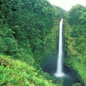 Hawaii Akaka Falls, Big Island