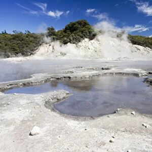 Hell's Gate / Tikitere Maori owned geothermal reserve - boiling mud pools and sulphur lake - North Island - New Zealand