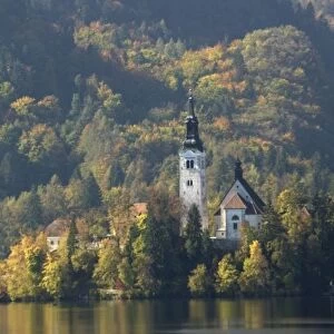 Lake Bled. 14th - 17th century church on island in the lake, with autumn woodland colours on the mountainside beyond. Slovenia