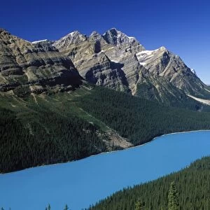 Lake Peyto - Banff National Park - Canada - Alberta