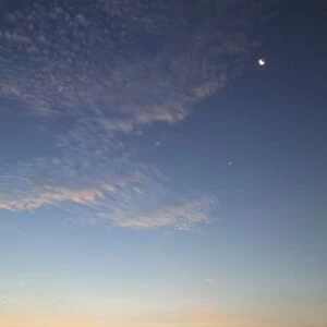 Lindisfarne Castle and Moon - at sunrise over harbour, Holy Island, Northumberland National Park, England