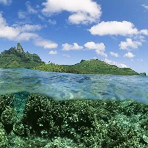 Pacific KA 326 Coral reef and Volcanoes split level shot. Bora Bora Island, Polynesia © Kurt Amsler / ARDEA LONDON