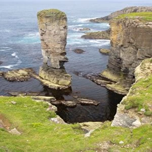 Sea stack Yesnaby Castle and cliffs - Orkney Mainland LA005107