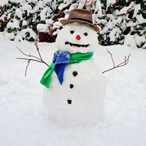 Snowman - with scarf & hat in winter scene Digital Manipulation: removed flower pots, snow added to background, general clean-up