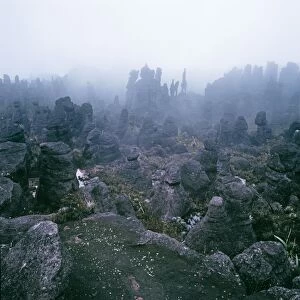 Summit of Mount Kukenaam (Kukenan, Kukenan, Cuguenan), rockshapes in mist, Estado Bolivar, Venezuela, South America